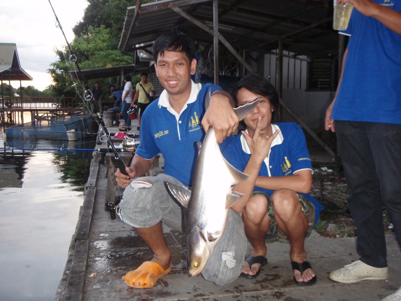 [q][i]อ้างถึง: savemylife_man posted: 10-01-2555, 06:52:29[/i]

[q][i]อ้างถึง: amm posted: 09-01-2