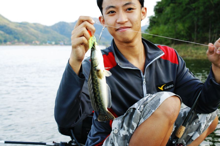 โชว์