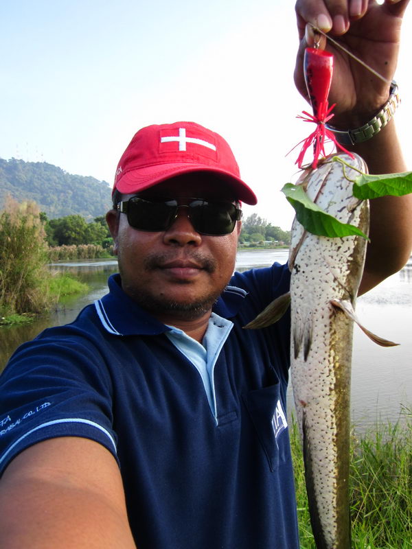

ถ่ายรูปเก็บหลักฐานซักหน่อย............ตัวไม่ใหญ่แต่กัดสะใจ........ :cool: :cool: :cool: :cool: