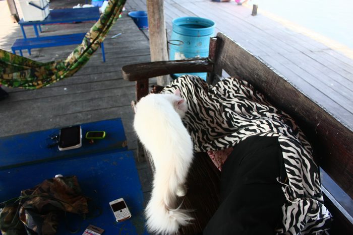 [q][i]อ้างถึง: potter_aon posted: 11-01-2555, 17:02:57[/i]

[q][i]อ้างถึง: noch posted: 11-01-2555