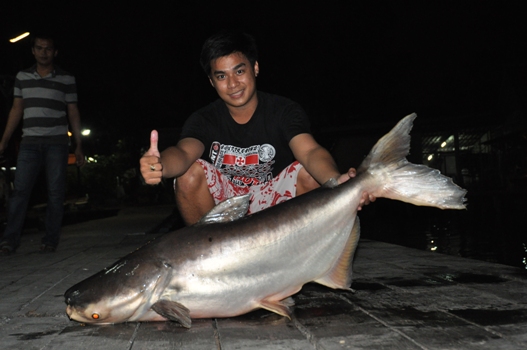 ขนาดกำลังกิน






น้าท่านใดมีรูปอยากจะลงก็ลงได้เลยนะครับ
 :laughing: :laughing: :laughing: