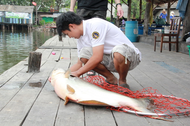 [q][i]อ้างถึง: amm posted: 12-01-2555, 09:05:23[/i]

สวัสดีปีใหม่คร้าบบบบบน้ามดดดดดดดดดดด.........
