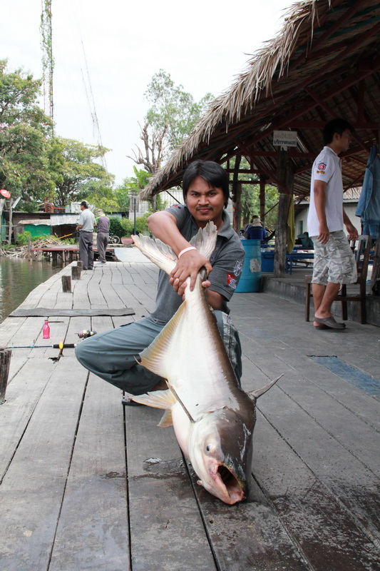 [q][i]อ้างถึง: แชมป์ปลาแมน posted: 12-01-2555, 09:38:29[/i]

 :love: :love: :love:[/q]

สวัสดีจ่