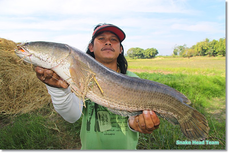  [b]สวัสดีค่ะน้าbue502[/b]
--------------------------------------------------------------------
 [