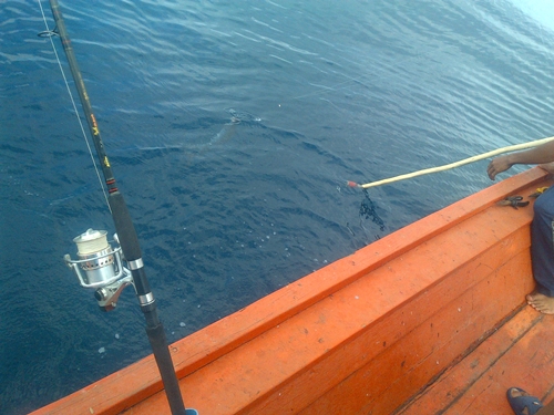 หัวเรือลุงเหลี่ยนจิ๊กได้ ผมถ่ายนู้นเสร๊จทางนี้ก๊เกือบจะขึ้นแร้ว ^^ 