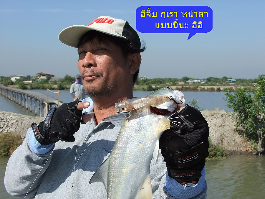 [b]ดูไว้ น้องเอ๊ย กุเรา หน้าตาแบบนี้นะ อิอิ[/b]  :laughing: :laughing: :laughing: :laughing: :laughi
