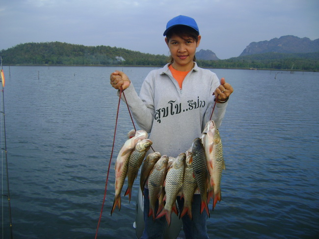  [b]ฝากไว้นิดนึงครับ[/b]

 [b]เท่าที่รู้มา เรือเร็ว กับตาข่ายที่นี่เริ่มจะมีปัญหากันบ้างแล้ว[/b]
