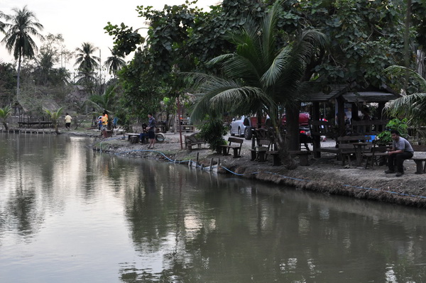 Amazon after Flood 2012