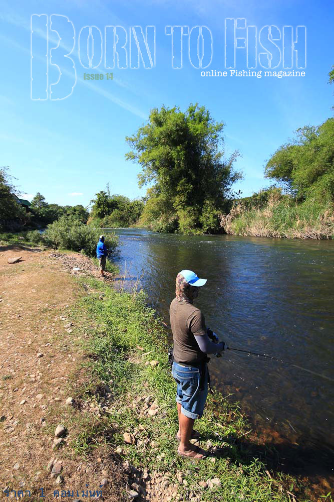 The River Wild........