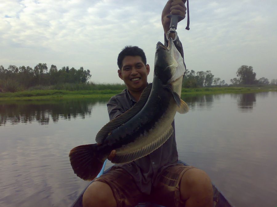 อีกสักพักโดนอีก เกือบไม่ได้ตัว :grin:

