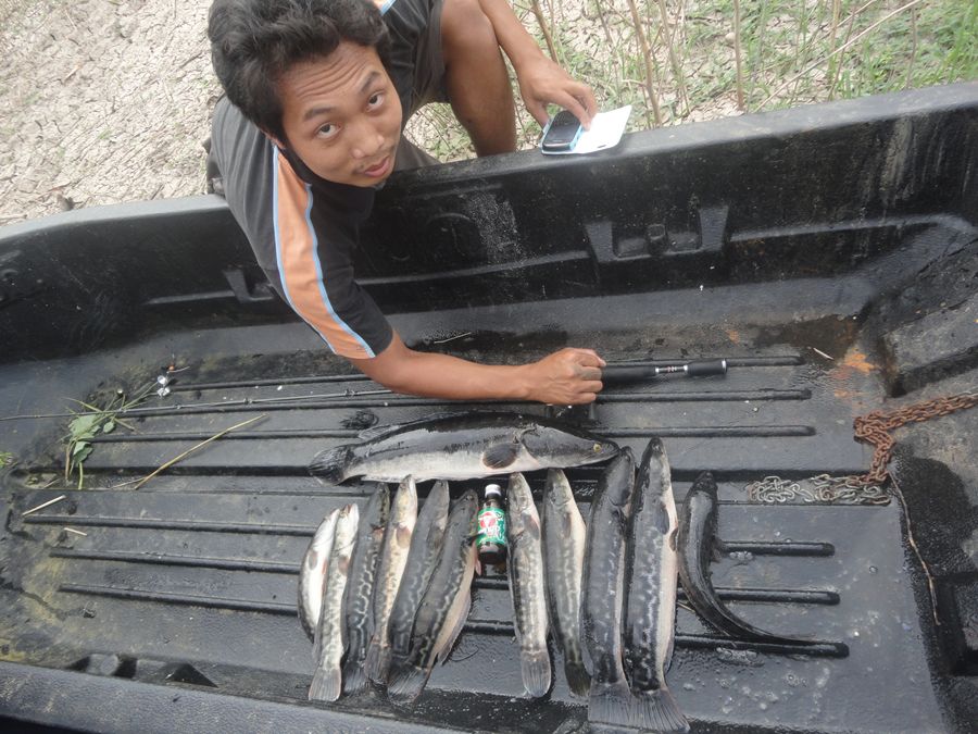 น้องมดลองเทียบกับเเขนตัวเอง :grin: