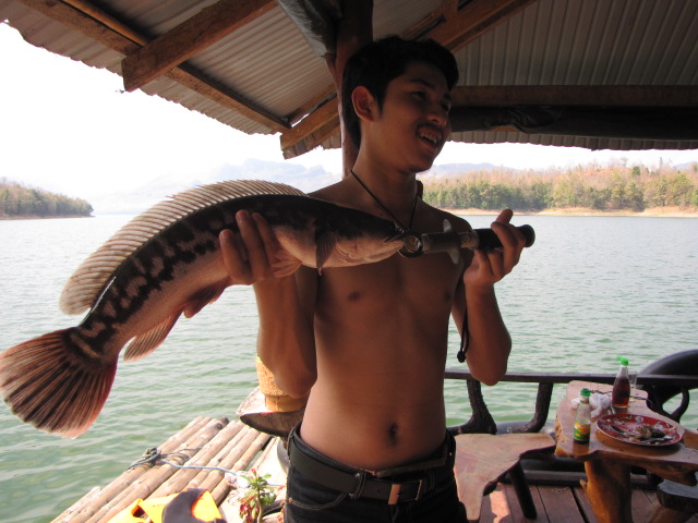 น้องชายพึ่งตื่นคับ อยากมีบทบ้าง
ก็เลยจัดให้เขาซะหน่อย :love: :love: :love: