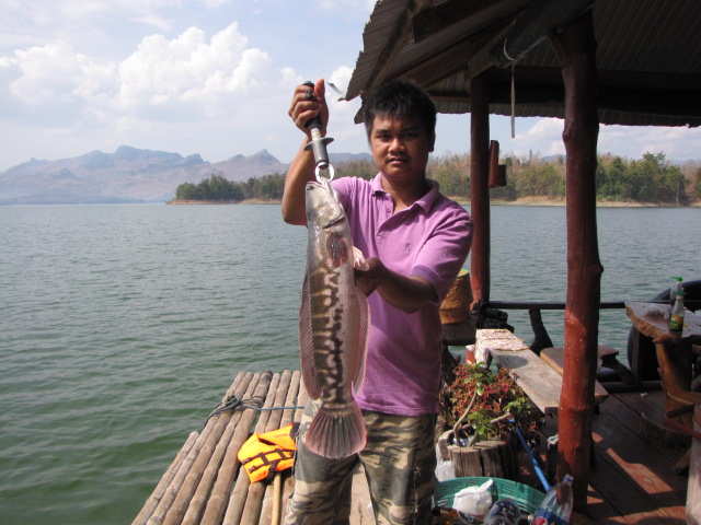 กันรูปเสียอีซักรูปคับ :grin: :grin: