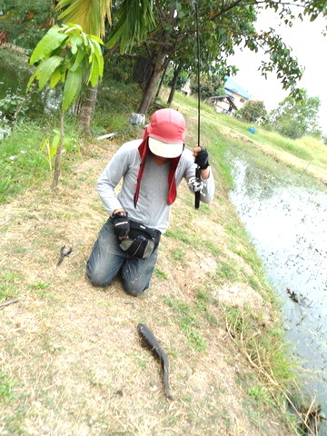สงสัยอารายน้าบอย .............................  :cool: :cool: :cool: :cool: :cool: