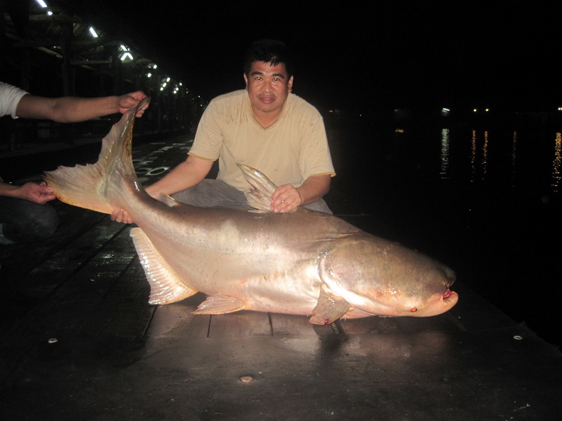 ปลัดผม หายไปไหนเนี้ย ไม่มารายงานตัว เดวตีตายเลย
 :grin: :grin: :grin: :grin: :grin: :grin: