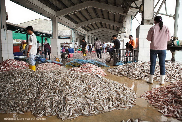 จุดแรกของการเที่ยวเมืองระนองของทริปนี้คือสะพานปลาท่าเทียบเรือ บริเวณท่าเรือข้ามเกาะสองนั่นเอง 