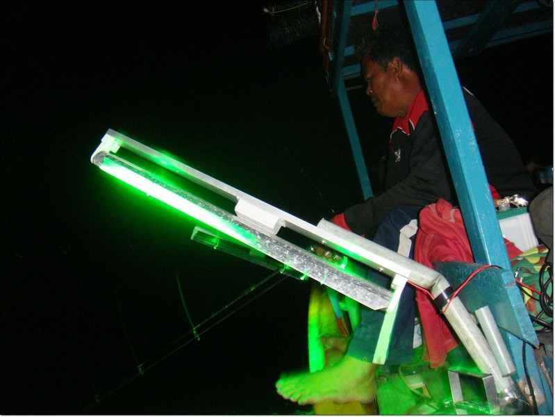  

... :cheer:...ถึงยามค่ำคืนแล้วครับ...แสงสว่างจากไฟตกหมึกก็เปิดขึ้น...... :cheer:...
