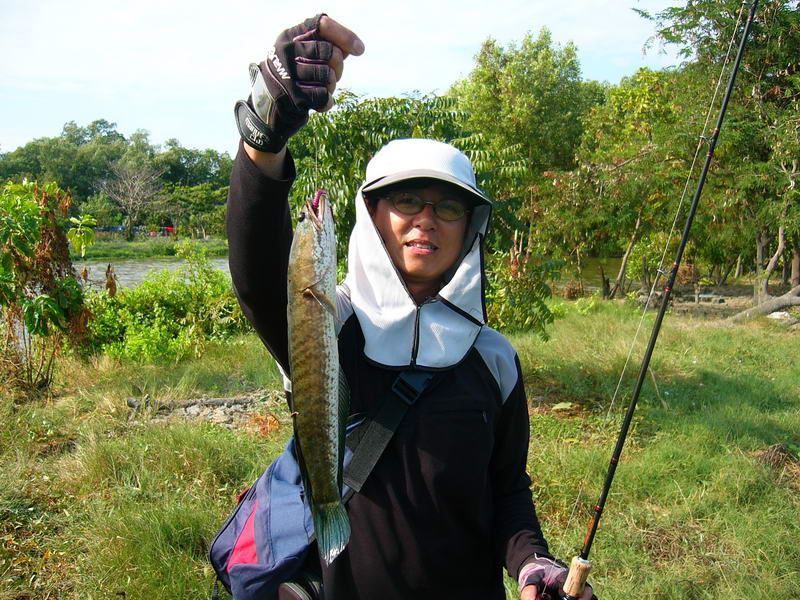 น้าเอส..วานหน่อย... :cheer: :cheer: :cheer: