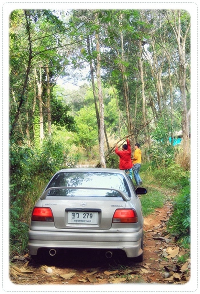 

   :grin: :grin:  ทริฟนี้ไม่เหมือนไปตกปลา   เหมือนไป rally offroad มากกว่า ....  :laughing: :lau