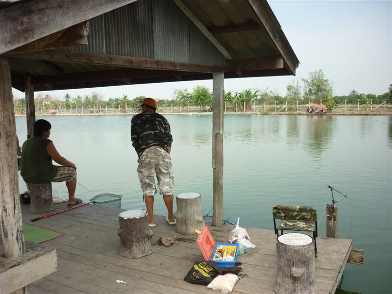      โชคดีจริงๆ มาได้ที่ตรงนี้ท้ายบ่อพอดี คนตกชุดนี้กลับพอดี