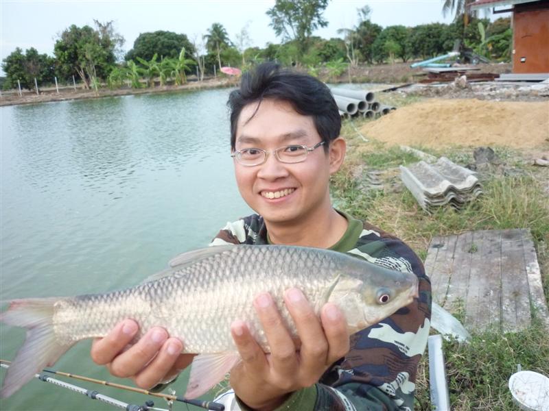 ยี่สกปิดท้าย หลังจากนั้นก็มีแต่นินจาไม่ได้ไซส์    วัดกันมือเป็นลิงครึ่งวัน :laughing: