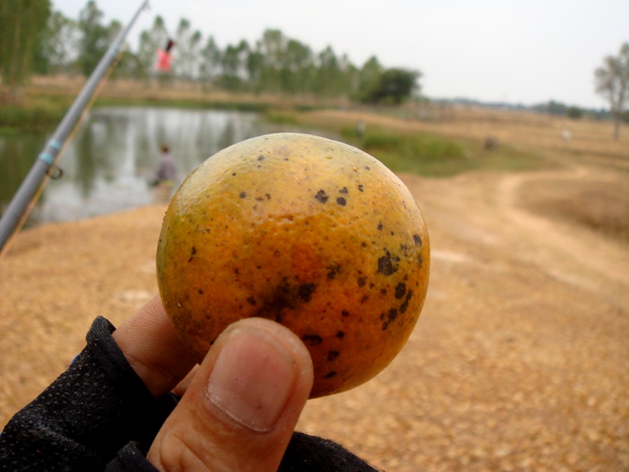 แก้กลุ้มครับ  :grin: