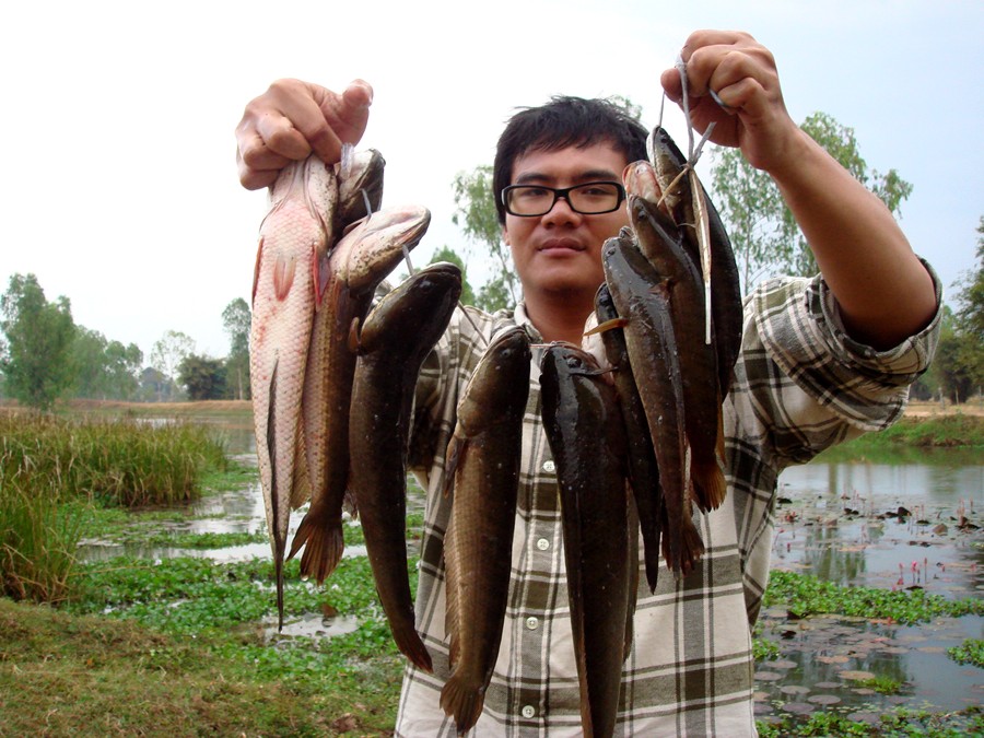 น้าซ่าถือปลาทีไร...ปลาหดทุ๊กที.... :laughing:


-------------------------------


สวัสดีครับน้