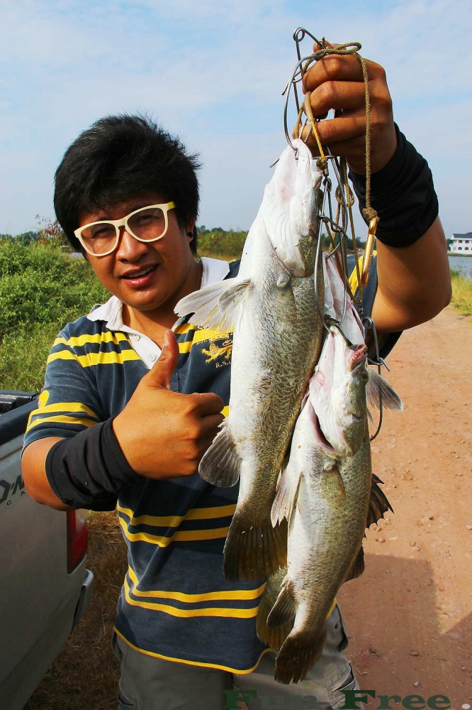 


ส่วนผมครึ้งวันพอเอาตัวรอดได้ครับ       :grin: