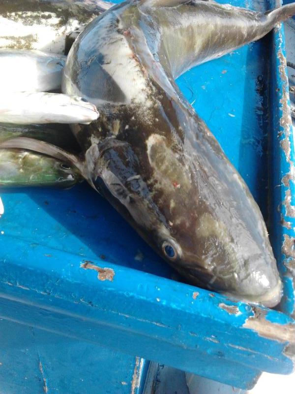 วันเด็ก-ไต๋โน๊ต-หมายเรือจมเกาะไผ่ 