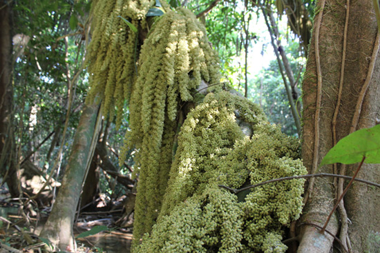 สวยดีเหมือนกันนะครับ :cheer: :cheer: :cheer: :cheer: