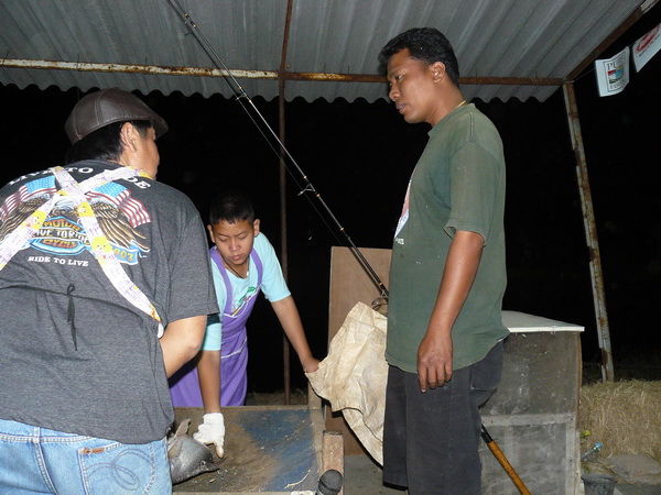 พี่น้อย ลานโพธิ์ เอามาลุ้นอีกตัว :ohh: :cheer: :cheer: