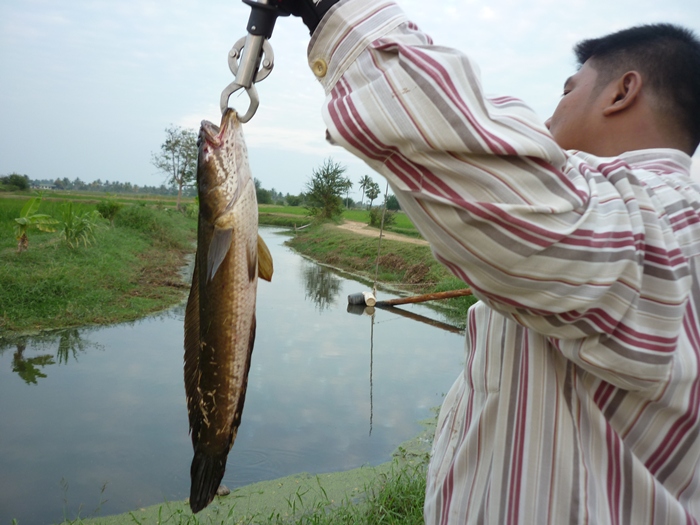 ตัวนีปิดงานคับ :grin: