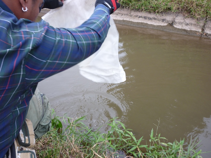 สวัสดีคับน้า...fishingjoke  :prost:


จบแล้วคับ  ขอบคุณน้าๆที่เข้ามาชมนะคับ :prost: :prost: :pros