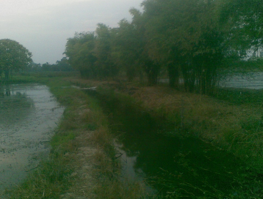 สี่หมายกับช่อนคนเมืองเหน่อ