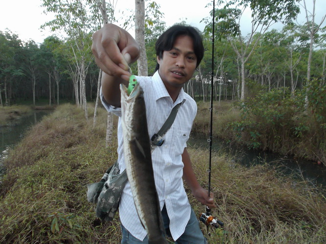 อ่าว..ขำไม่ออก..ได้ก่อนใครเค้าเลย :cool: :cool: :cool: