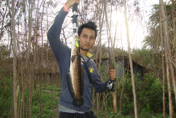 - . . ช่ อ น บ า ง บั ว ท อ ง ( สั้ น สุ ด ๆ ) . . -