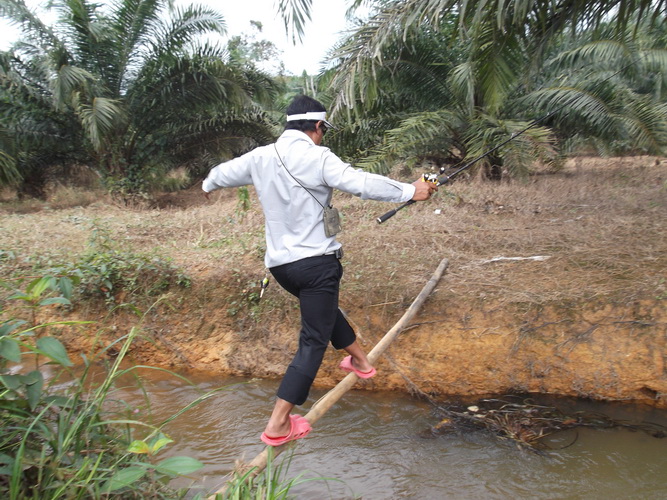 มาๆข้ามั่ง..อย่าตกนาโว้..ยยยพวกรอจับภาพอยู่   :grin: :grin: :laughing: :laughing: