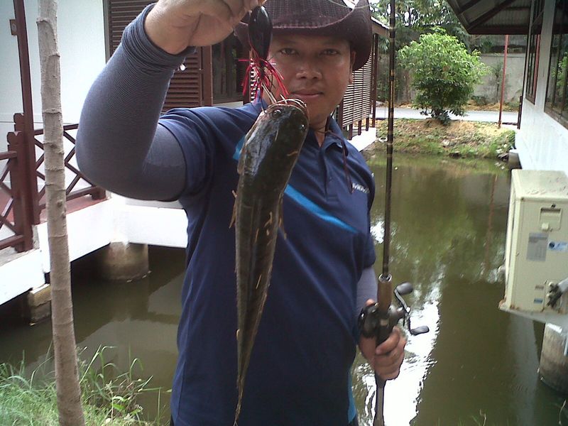 [q][i]อ้างถึง: nek posted: 20-01-2555, 20:26:50[/i]

ร้ายจิงๆ ๆ !!~ น้าเล็ก  ไปตีที่  ฟามร์เข้ ดิน