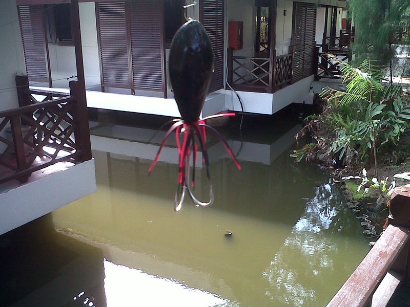 [q][i]อ้างถึง: duckwinduck posted: 20-01-2555, 23:41:06[/i]

+++ไปเข้าค่ายยังแอบแว๊ปไปตกปลาอีกแนอะ