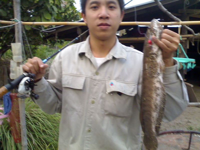 ทริปปลาช่อนปี 54
