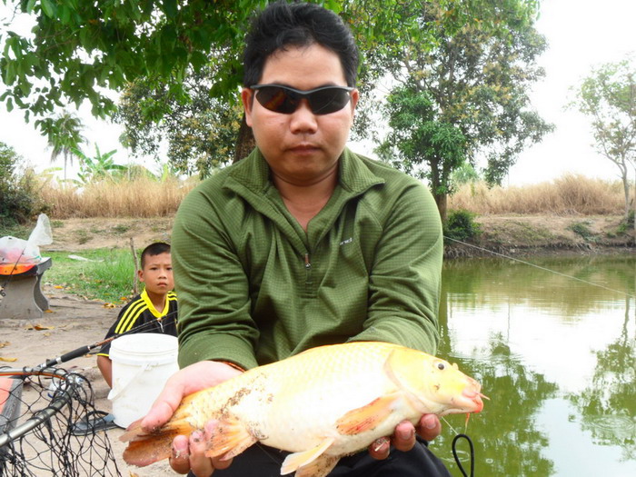 ชัดๆสักภาพครับ 
 :love: :love:
สวัสดีครับน้า short_fish  :love: :love: