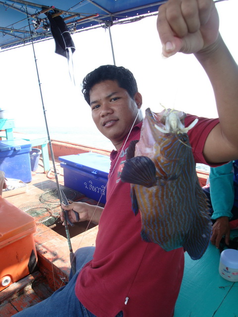 แล้วก็มีตัวนี้ขึ้นมาขั้นรายการครับ :grin: :grin: :grin:
