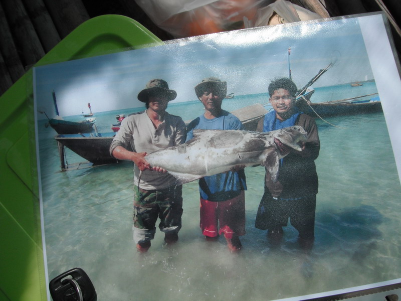 ถึงบ้านไต๋หนู   บ่าย  2 โมงเศษ ระหว่างเตรียมของลงเรือ  ไต๋หนูเอารูปปลาที่ลูกค้า ชุดก่อนตกได้มาให้ดู 