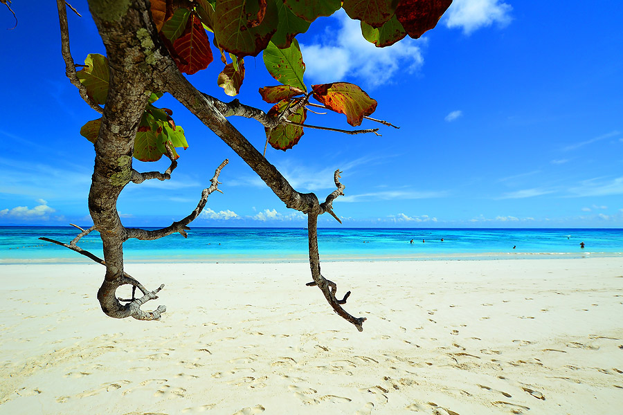 หาด สวย น้ำ ใส แต่ไม่ประทับใจเท่าไหร่ครับ อาจจะเป็นเพราะ วันเดย์ทริป อยุ่บนเกาะน้อยไปหน่อย  :smile: 