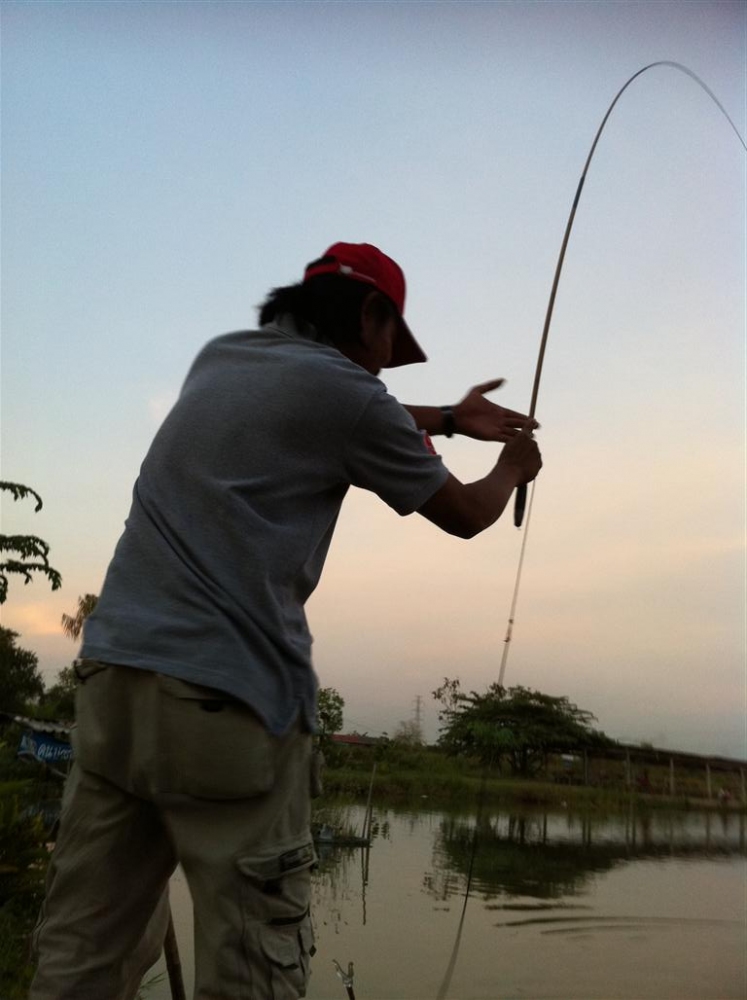 หลังจากพี่ป๊อก9 กลับ ผมก็ได้มาอีกตัวนึง :cheer: :cheer: :cheer: