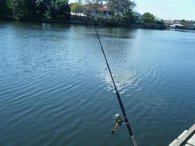 อันนี้อาวุธผม
คาร์เพ็นเตอร์ pe 10 + twin 8000 sw