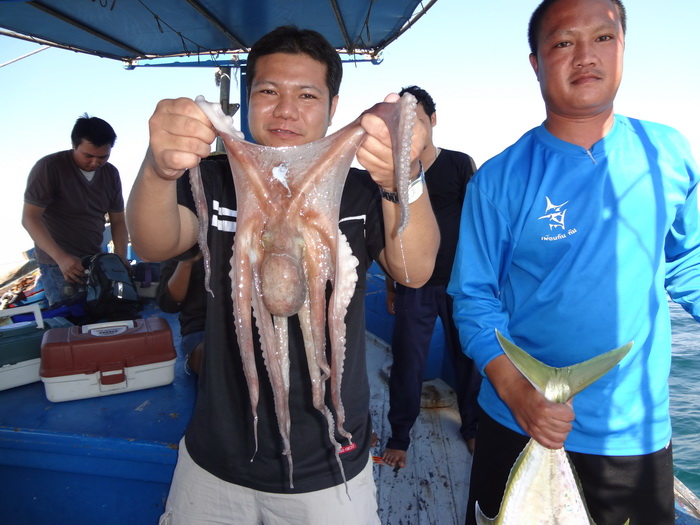ของแปลกในทริปนี้ครับ