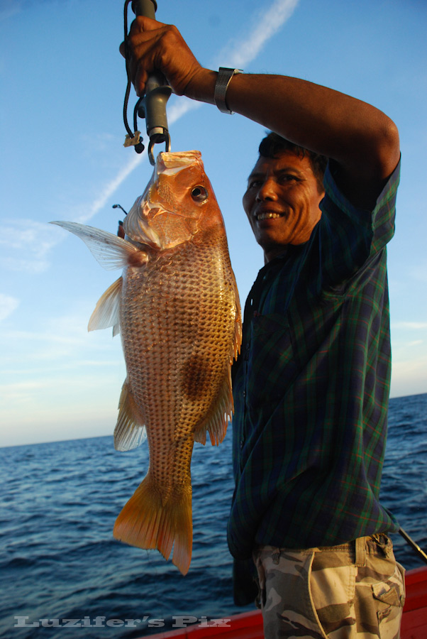  [b]หัวเรือ งัดยี่หนาตัวสวยขึ้นมา

บ้าแล้ว กินเบ็ดกลางวัน

กลางคืนเงียบกริบ ![/b]