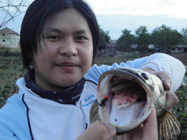 ตัวนี้เลยครับ TEXAS ตัวแรกในชิวิตเลยครับ ประเดิมได้ไซด์ 
 :grin:


[q][i]อ้างถึง: kongfishing po
