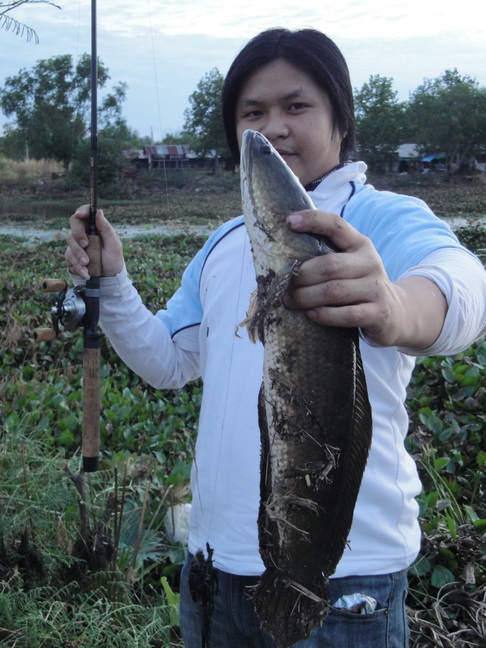 ฝึก TEXAS วันหละนิดครับ 

[q][i]อ้างถึง: na_samurai posted: 25-01-2555, 22:19:46[/i]

สวดยอดครับ